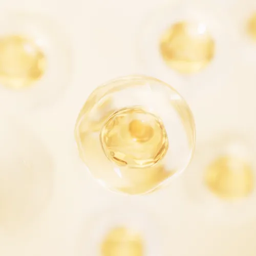 필요 성분 중심