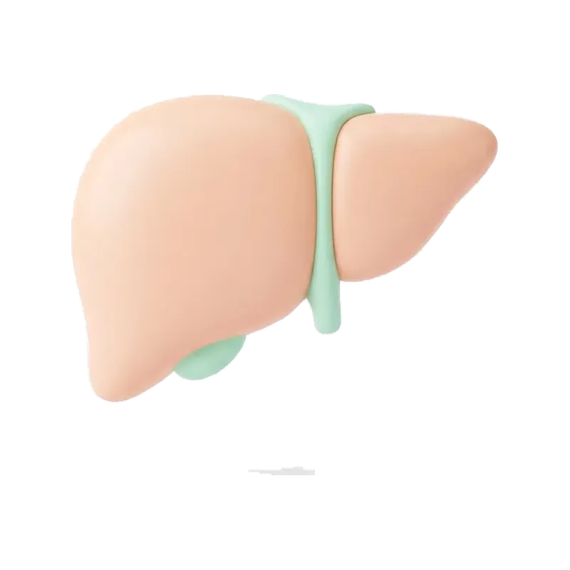 간기능 개선 수액