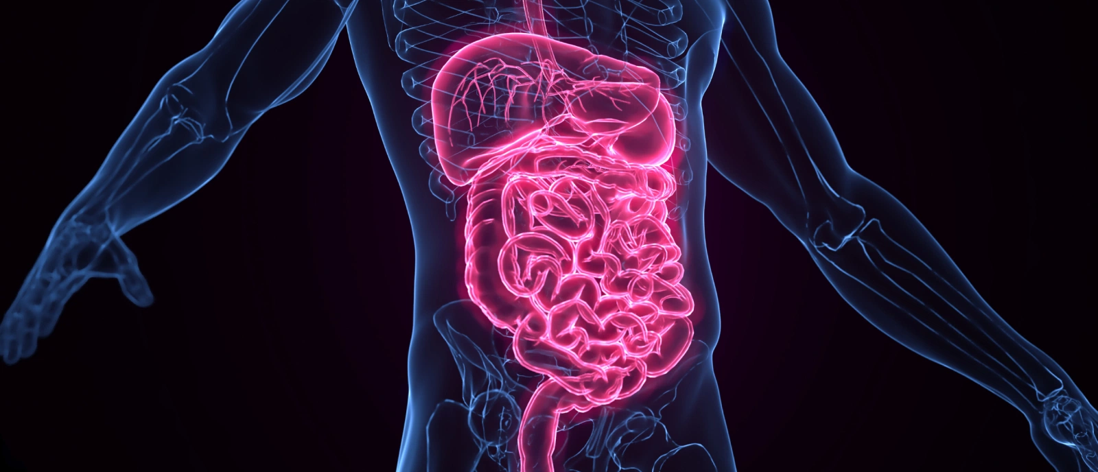 간소화기질환 증상 이미지