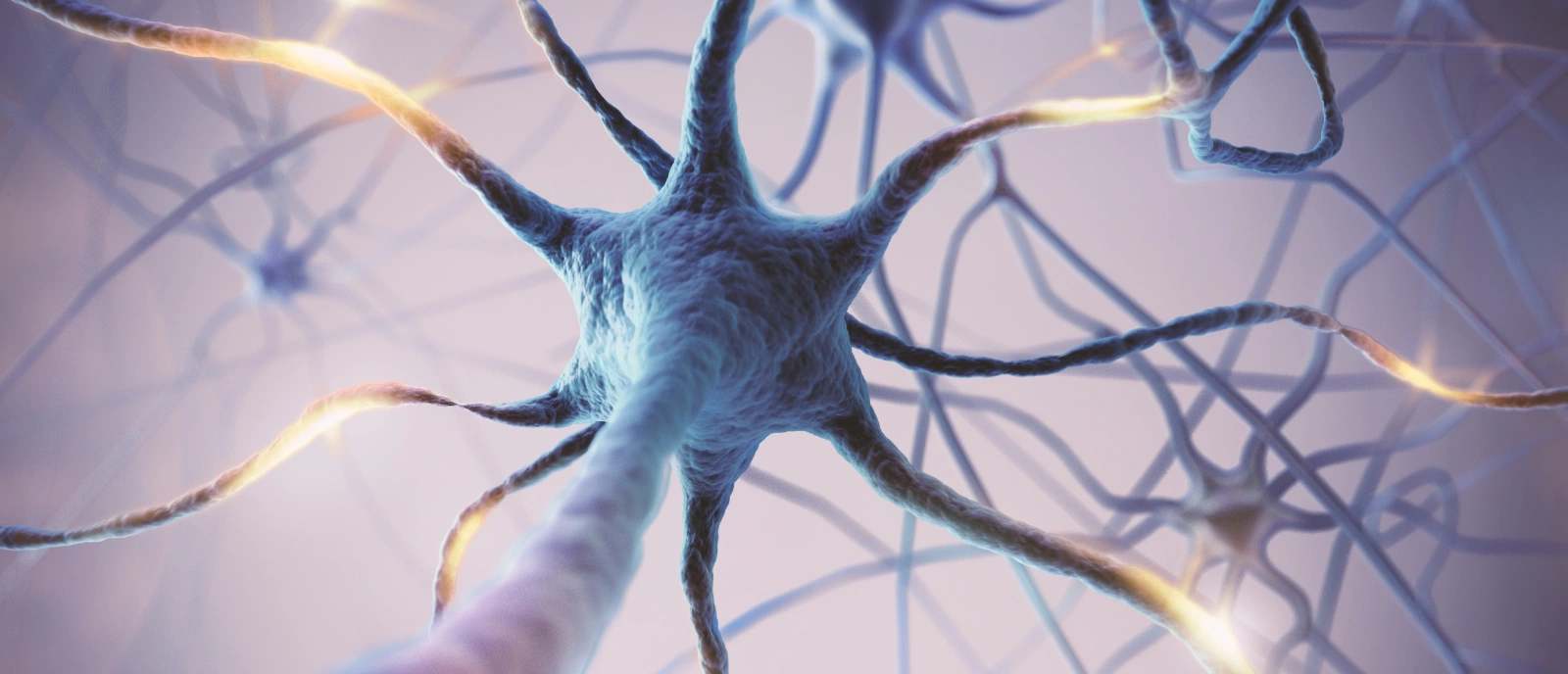 내분비대사질환 증상 이미지