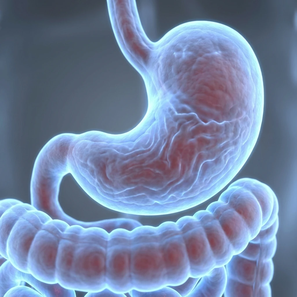 위·장 기능 평가