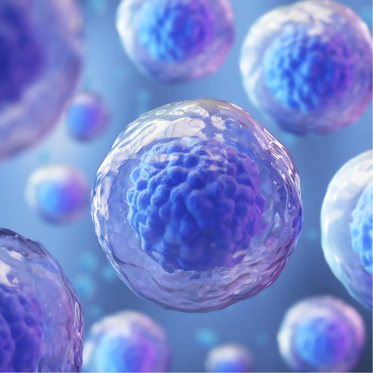 면역·염증 지표 정밀평가