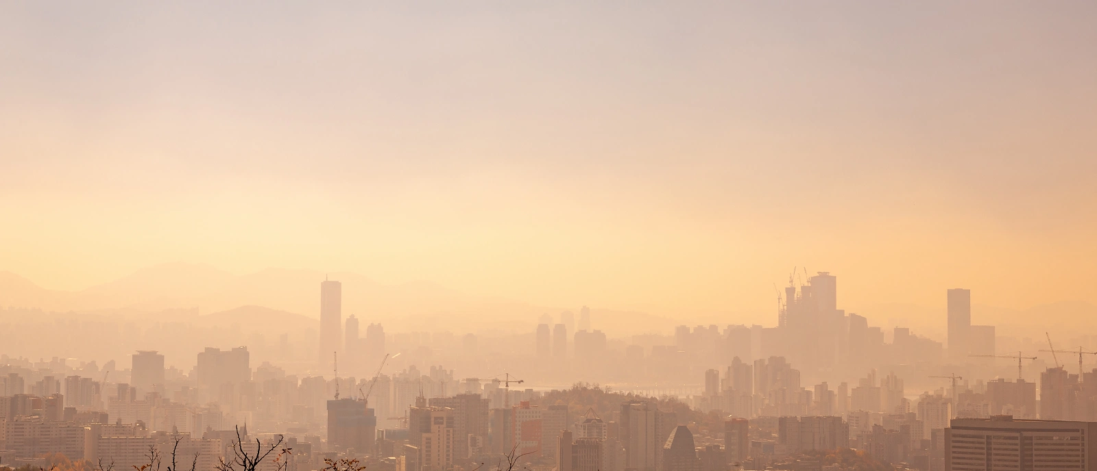 호흡기질환 증상 이미지